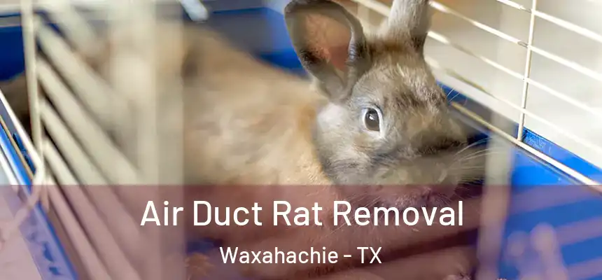 Air Duct Rat Removal Waxahachie - TX
