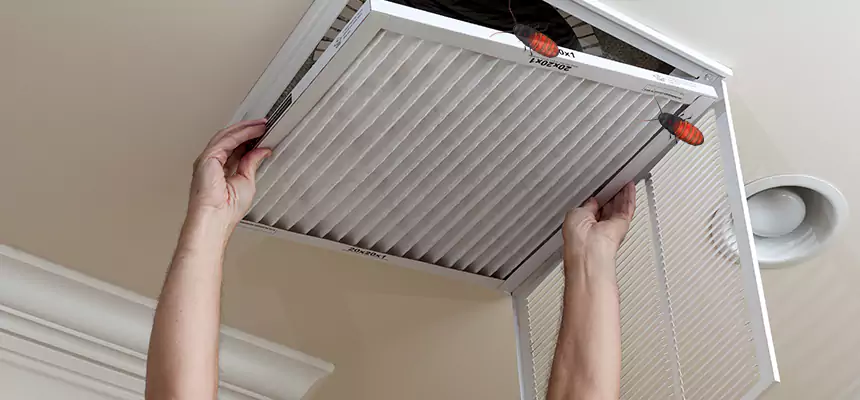 Preventive Cockroach-Proofing for Ducts in Waxahachie