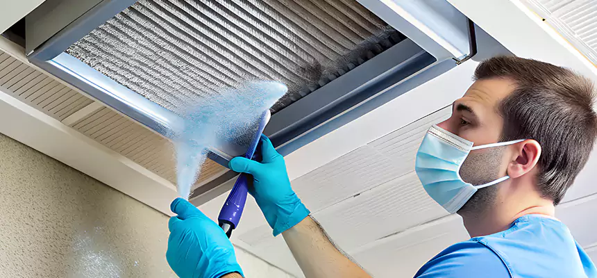 Proactive Dryer Vent & Auxiliary Duct Pollen Cleanup in Waxahachie, TX
