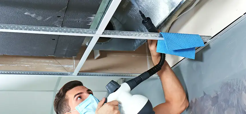 Our Air Duct Rodent Removal Services in Waxahachie, TX