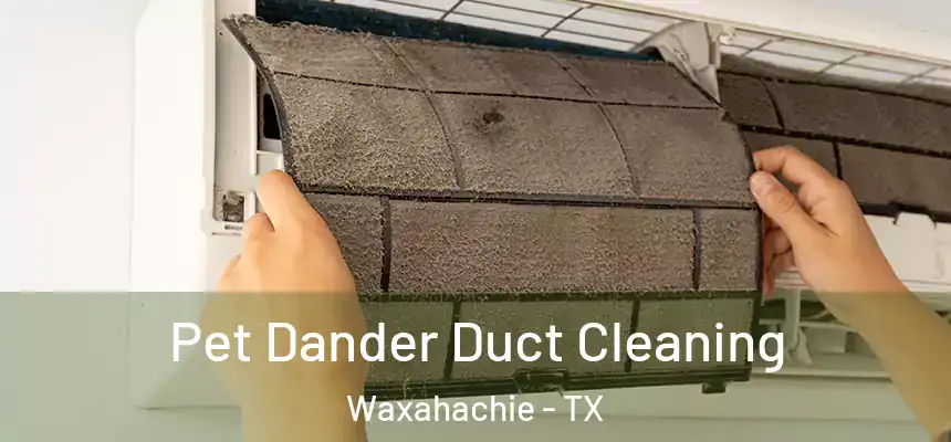  Pet Dander Duct Cleaning Waxahachie - TX