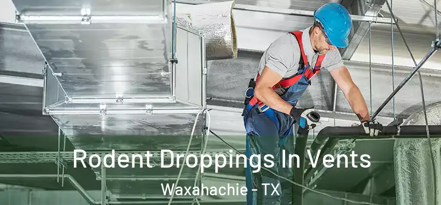  Rodent Droppings In Vents Waxahachie - TX