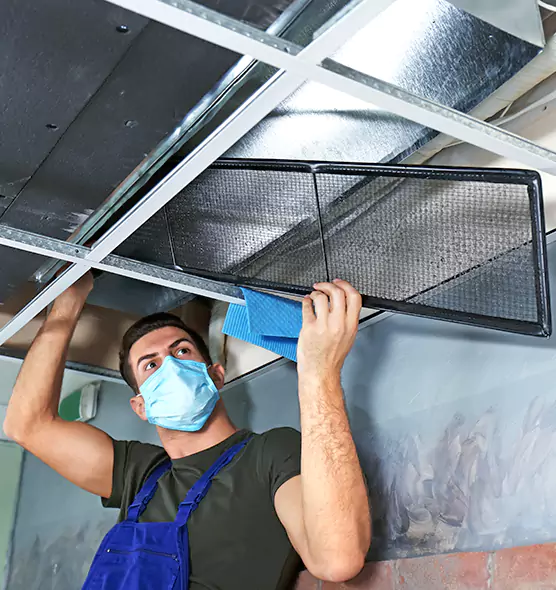 About Air Duct Bacteria Removal in Waxahachie