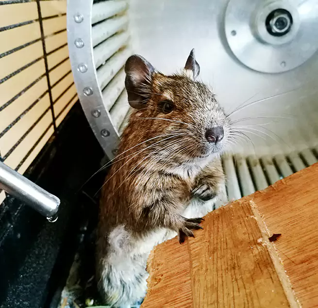 Why Homeowners & Businesses Trust Us Waxahachie, TX